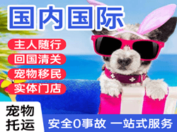 莎车叶尔羌航空物流国际宠物托运 【国